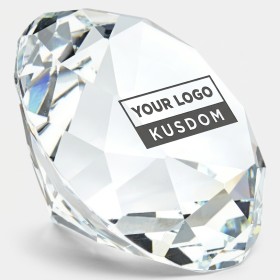 Crystal Art Paperweight - Clear Edition