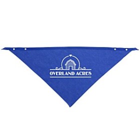 Comfort Triangle Pet Scarf - Large