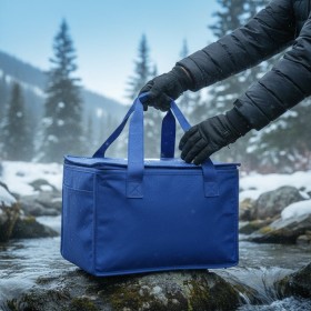 Arctic Portable Cooler Bag