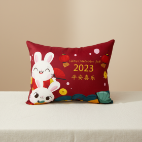 Custom Plush Toy Pillow