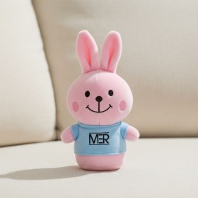 Mini Bunny Gift