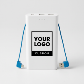 Dual-Port High-Efficiency Power Bank